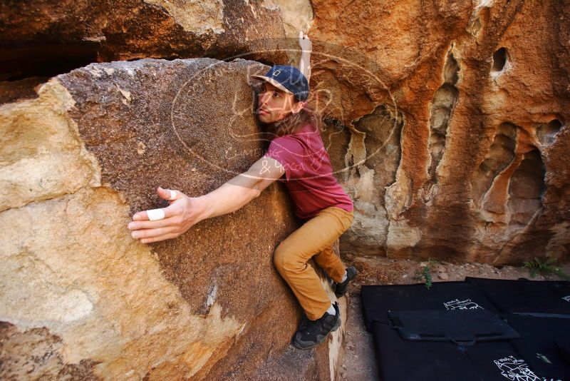 Bouldering in Hueco Tanks on 11/10/2019 with Blue Lizard Climbing and Yoga

Filename: SRM_20191110_1239540.jpg
Aperture: f/5.6
Shutter Speed: 1/250
Body: Canon EOS-1D Mark II
Lens: Canon EF 16-35mm f/2.8 L