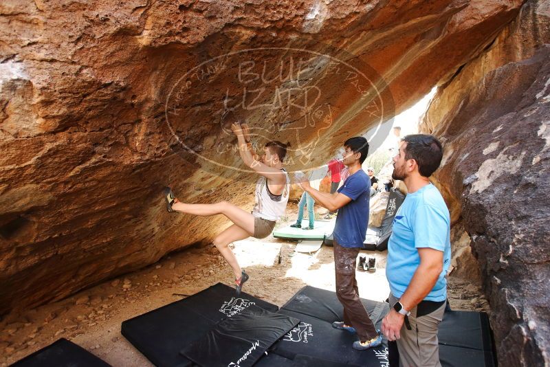 Bouldering in Hueco Tanks on 11/10/2019 with Blue Lizard Climbing and Yoga

Filename: SRM_20191110_1452590.jpg
Aperture: f/4.0
Shutter Speed: 1/320
Body: Canon EOS-1D Mark II
Lens: Canon EF 16-35mm f/2.8 L