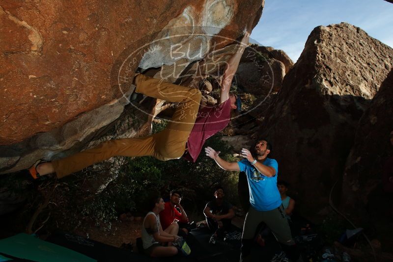 Bouldering in Hueco Tanks on 11/10/2019 with Blue Lizard Climbing and Yoga

Filename: SRM_20191110_1647400.jpg
Aperture: f/8.0
Shutter Speed: 1/250
Body: Canon EOS-1D Mark II
Lens: Canon EF 16-35mm f/2.8 L