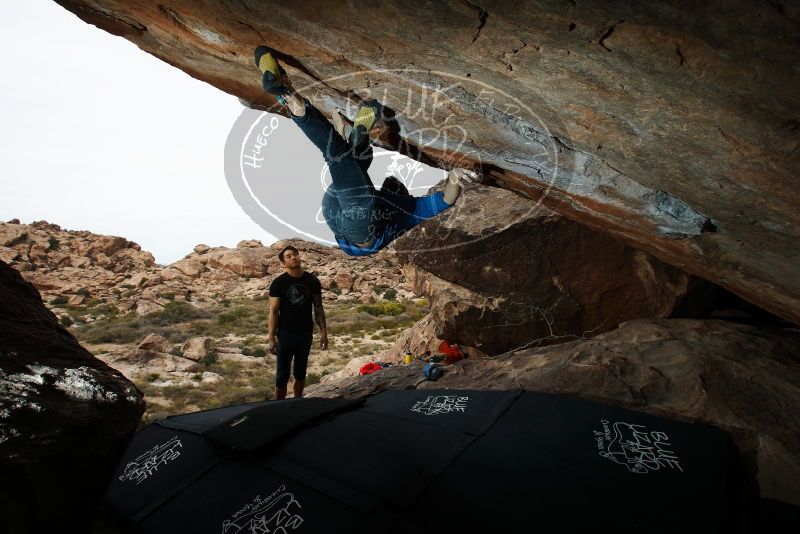 Bouldering in Hueco Tanks on 11/17/2019 with Blue Lizard Climbing and Yoga

Filename: SRM_20191117_1312000.jpg
Aperture: f/8.0
Shutter Speed: 1/250
Body: Canon EOS-1D Mark II
Lens: Canon EF 16-35mm f/2.8 L