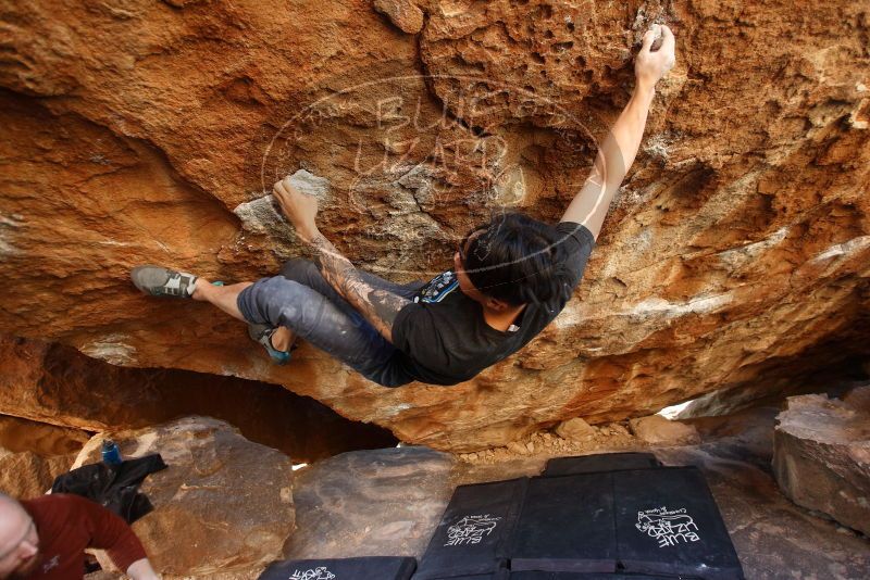 Bouldering in Hueco Tanks on 11/18/2019 with Blue Lizard Climbing and Yoga

Filename: SRM_20191118_1637250.jpg
Aperture: f/2.8
Shutter Speed: 1/250
Body: Canon EOS-1D Mark II
Lens: Canon EF 16-35mm f/2.8 L