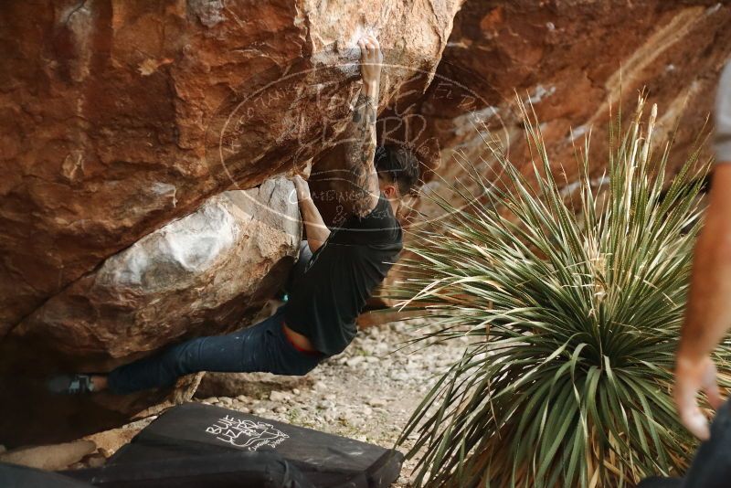 Bouldering in Hueco Tanks on 11/18/2019 with Blue Lizard Climbing and Yoga

Filename: SRM_20191118_1810120.jpg
Aperture: f/2.2
Shutter Speed: 1/250
Body: Canon EOS-1D Mark II
Lens: Canon EF 50mm f/1.8 II