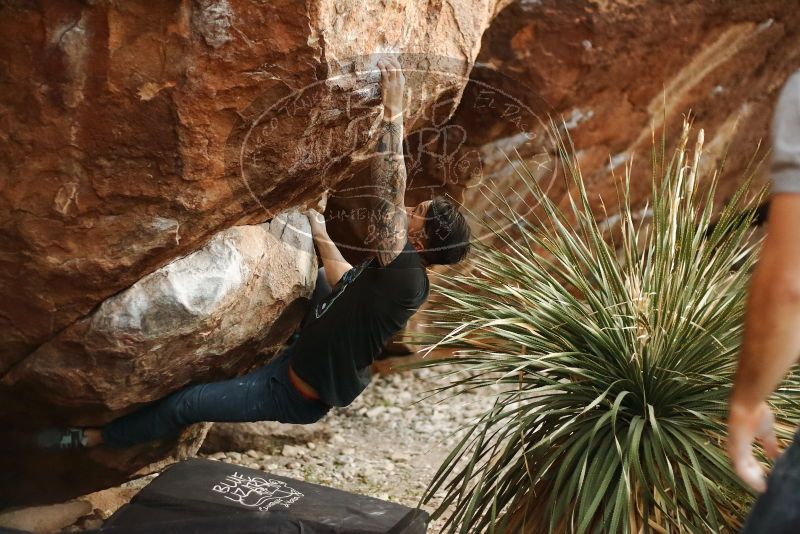 Bouldering in Hueco Tanks on 11/18/2019 with Blue Lizard Climbing and Yoga

Filename: SRM_20191118_1810121.jpg
Aperture: f/2.2
Shutter Speed: 1/250
Body: Canon EOS-1D Mark II
Lens: Canon EF 50mm f/1.8 II