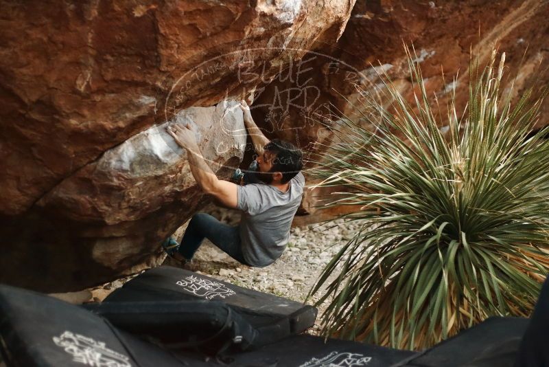 Bouldering in Hueco Tanks on 11/18/2019 with Blue Lizard Climbing and Yoga

Filename: SRM_20191118_1810580.jpg
Aperture: f/2.2
Shutter Speed: 1/250
Body: Canon EOS-1D Mark II
Lens: Canon EF 50mm f/1.8 II