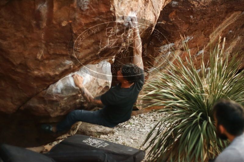 Bouldering in Hueco Tanks on 11/18/2019 with Blue Lizard Climbing and Yoga

Filename: SRM_20191118_1812240.jpg
Aperture: f/1.8
Shutter Speed: 1/250
Body: Canon EOS-1D Mark II
Lens: Canon EF 50mm f/1.8 II