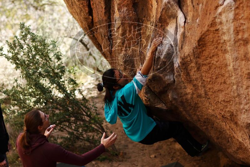 Bouldering in Hueco Tanks on 11/16/2019 with Blue Lizard Climbing and Yoga

Filename: SRM_20191116_1056170.jpg
Aperture: f/2.0
Shutter Speed: 1/1000
Body: Canon EOS-1D Mark II
Lens: Canon EF 85mm f/1.2 L II