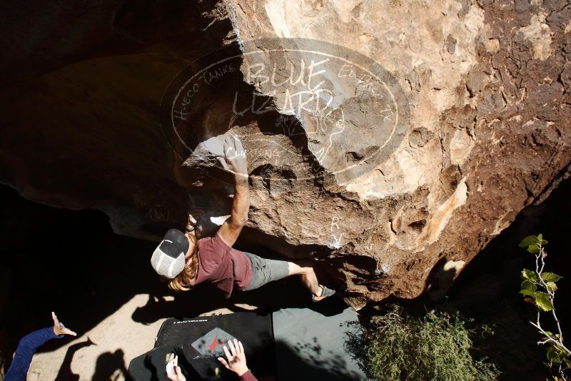 Bouldering in Hueco Tanks on 11/16/2019 with Blue Lizard Climbing and Yoga

Filename: SRM_20191116_1239310.jpg
Aperture: f/8.0
Shutter Speed: 1/1000
Body: Canon EOS-1D Mark II
Lens: Canon EF 16-35mm f/2.8 L