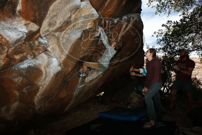 Bouldering in Hueco Tanks on 11/16/2019 with Blue Lizard Climbing and Yoga

Filename: SRM_20191116_1358000.jpg
Aperture: f/8.0
Shutter Speed: 1/250
Body: Canon EOS-1D Mark II
Lens: Canon EF 16-35mm f/2.8 L