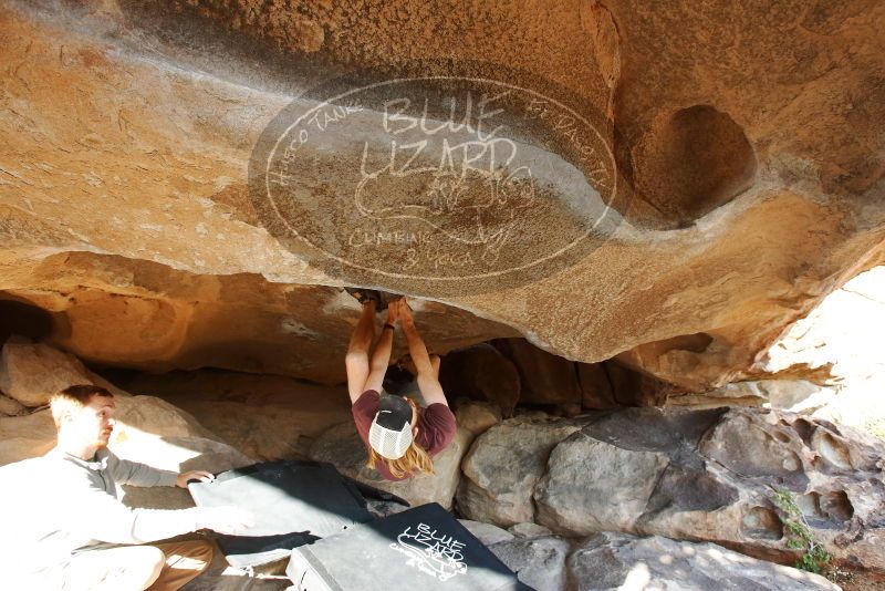 Bouldering in Hueco Tanks on 11/16/2019 with Blue Lizard Climbing and Yoga

Filename: SRM_20191116_1558590.jpg
Aperture: f/5.6
Shutter Speed: 1/200
Body: Canon EOS-1D Mark II
Lens: Canon EF 16-35mm f/2.8 L