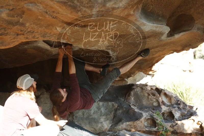 Bouldering in Hueco Tanks on 11/16/2019 with Blue Lizard Climbing and Yoga

Filename: SRM_20191116_1604160.jpg
Aperture: f/4.0
Shutter Speed: 1/320
Body: Canon EOS-1D Mark II
Lens: Canon EF 50mm f/1.8 II