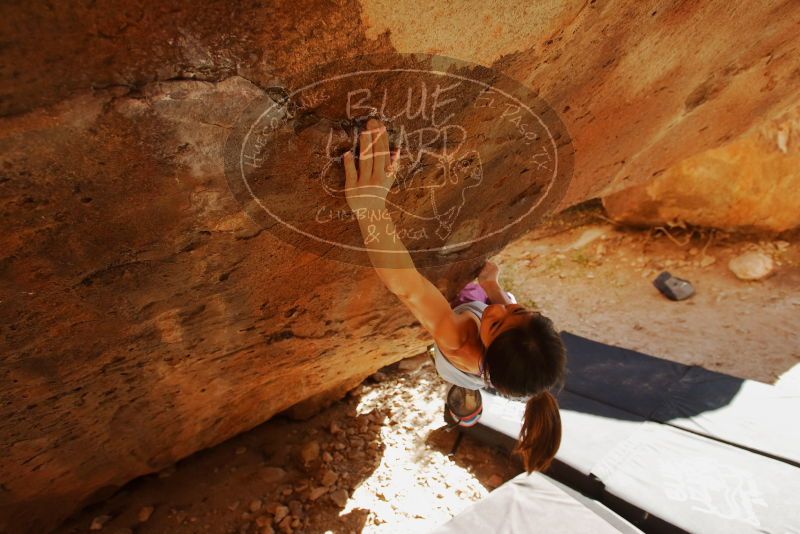 Bouldering in Hueco Tanks on 11/23/2019 with Blue Lizard Climbing and Yoga

Filename: SRM_20191123_1428180.jpg
Aperture: f/4.5
Shutter Speed: 1/250
Body: Canon EOS-1D Mark II
Lens: Canon EF 16-35mm f/2.8 L