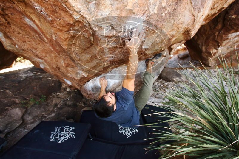 Bouldering in Hueco Tanks on 11/24/2019 with Blue Lizard Climbing and Yoga

Filename: SRM_20191124_1329140.jpg
Aperture: f/4.5
Shutter Speed: 1/250
Body: Canon EOS-1D Mark II
Lens: Canon EF 16-35mm f/2.8 L