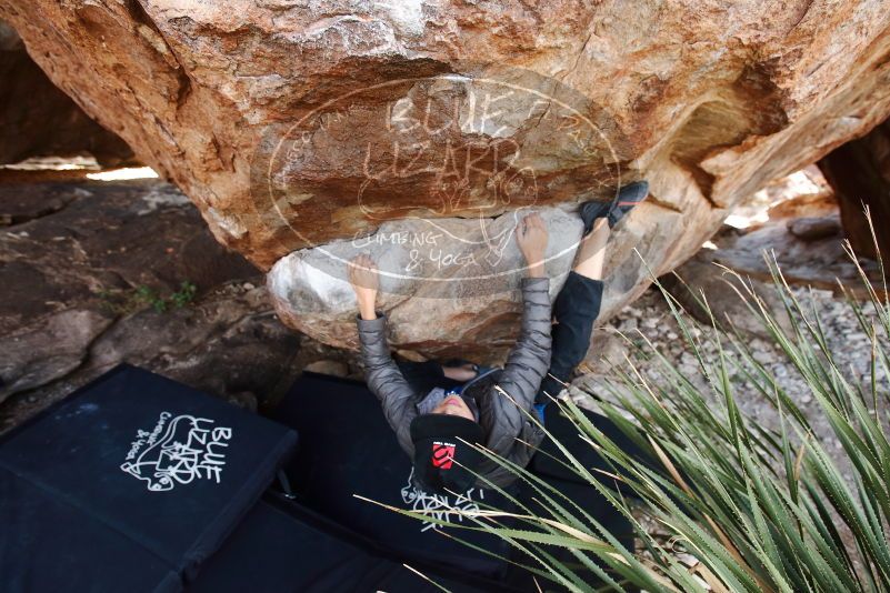 Bouldering in Hueco Tanks on 11/24/2019 with Blue Lizard Climbing and Yoga

Filename: SRM_20191124_1330260.jpg
Aperture: f/4.5
Shutter Speed: 1/250
Body: Canon EOS-1D Mark II
Lens: Canon EF 16-35mm f/2.8 L