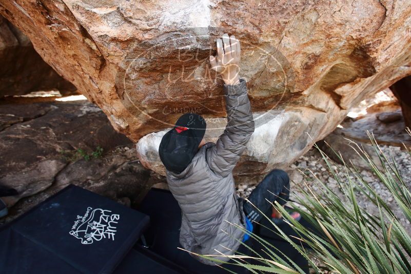 Bouldering in Hueco Tanks on 11/24/2019 with Blue Lizard Climbing and Yoga

Filename: SRM_20191124_1330270.jpg
Aperture: f/4.5
Shutter Speed: 1/250
Body: Canon EOS-1D Mark II
Lens: Canon EF 16-35mm f/2.8 L