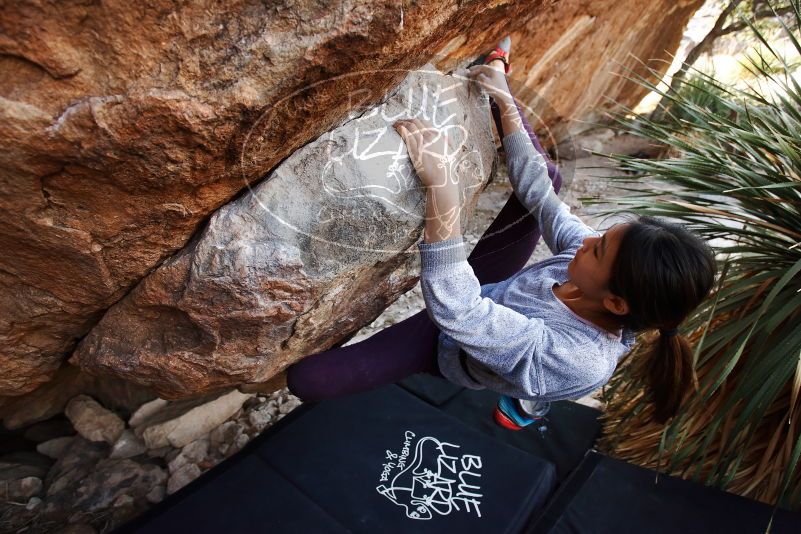 Bouldering in Hueco Tanks on 11/24/2019 with Blue Lizard Climbing and Yoga

Filename: SRM_20191124_1331550.jpg
Aperture: f/4.0
Shutter Speed: 1/250
Body: Canon EOS-1D Mark II
Lens: Canon EF 16-35mm f/2.8 L