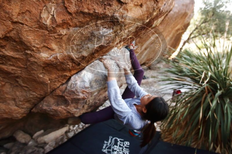 Bouldering in Hueco Tanks on 11/24/2019 with Blue Lizard Climbing and Yoga

Filename: SRM_20191124_1331570.jpg
Aperture: f/4.0
Shutter Speed: 1/250
Body: Canon EOS-1D Mark II
Lens: Canon EF 16-35mm f/2.8 L