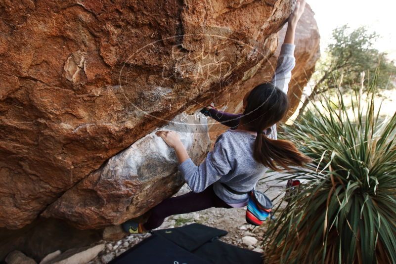 Bouldering in Hueco Tanks on 11/24/2019 with Blue Lizard Climbing and Yoga

Filename: SRM_20191124_1331590.jpg
Aperture: f/4.5
Shutter Speed: 1/250
Body: Canon EOS-1D Mark II
Lens: Canon EF 16-35mm f/2.8 L