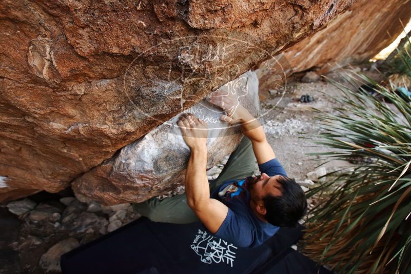 Bouldering in Hueco Tanks on 11/24/2019 with Blue Lizard Climbing and Yoga

Filename: SRM_20191124_1334580.jpg
Aperture: f/4.5
Shutter Speed: 1/250
Body: Canon EOS-1D Mark II
Lens: Canon EF 16-35mm f/2.8 L