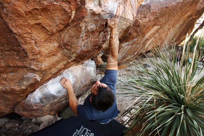 Bouldering in Hueco Tanks on 11/24/2019 with Blue Lizard Climbing and Yoga

Filename: SRM_20191124_1335200.jpg
Aperture: f/4.5
Shutter Speed: 1/250
Body: Canon EOS-1D Mark II
Lens: Canon EF 16-35mm f/2.8 L