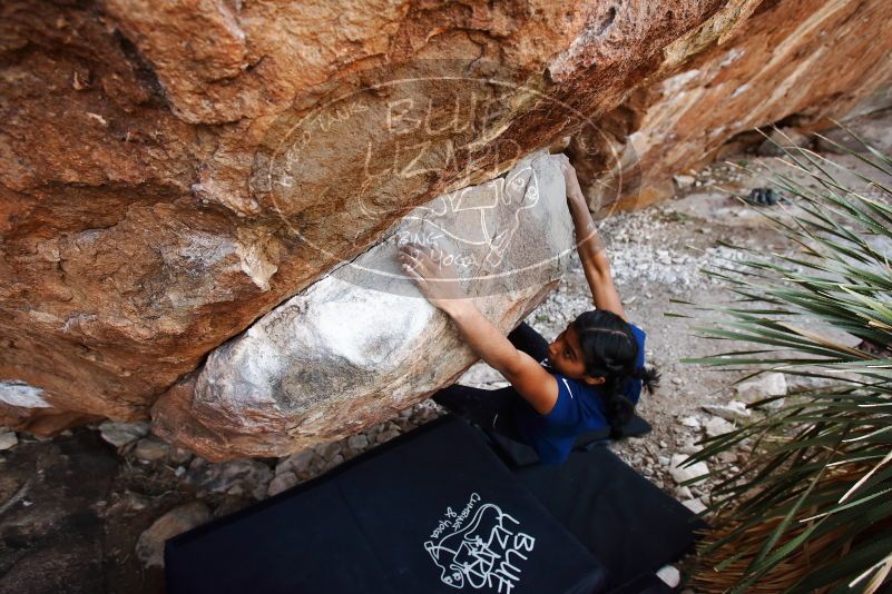 Bouldering in Hueco Tanks on 11/24/2019 with Blue Lizard Climbing and Yoga

Filename: SRM_20191124_1335570.jpg
Aperture: f/4.5
Shutter Speed: 1/250
Body: Canon EOS-1D Mark II
Lens: Canon EF 16-35mm f/2.8 L