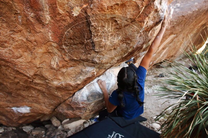 Bouldering in Hueco Tanks on 11/24/2019 with Blue Lizard Climbing and Yoga

Filename: SRM_20191124_1336070.jpg
Aperture: f/4.0
Shutter Speed: 1/250
Body: Canon EOS-1D Mark II
Lens: Canon EF 16-35mm f/2.8 L