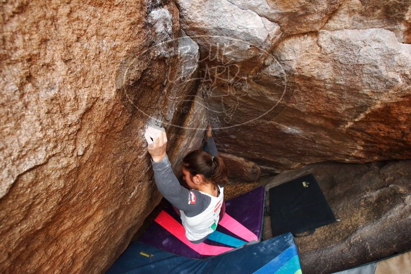 Bouldering in Hueco Tanks on 11/25/2019 with Blue Lizard Climbing and Yoga

Filename: SRM_20191125_1151340.jpg
Aperture: f/5.0
Shutter Speed: 1/250
Body: Canon EOS-1D Mark II
Lens: Canon EF 16-35mm f/2.8 L