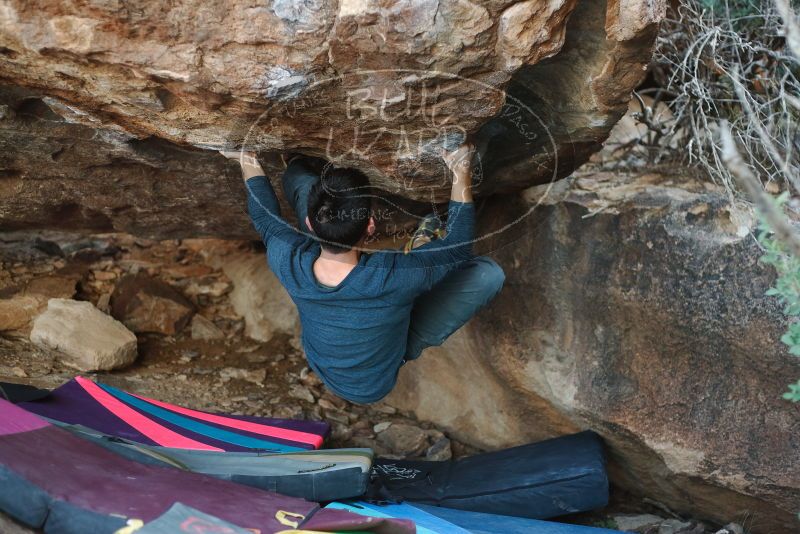 Bouldering in Hueco Tanks on 11/25/2019 with Blue Lizard Climbing and Yoga

Filename: SRM_20191125_1622280.jpg
Aperture: f/2.5
Shutter Speed: 1/320
Body: Canon EOS-1D Mark II
Lens: Canon EF 50mm f/1.8 II