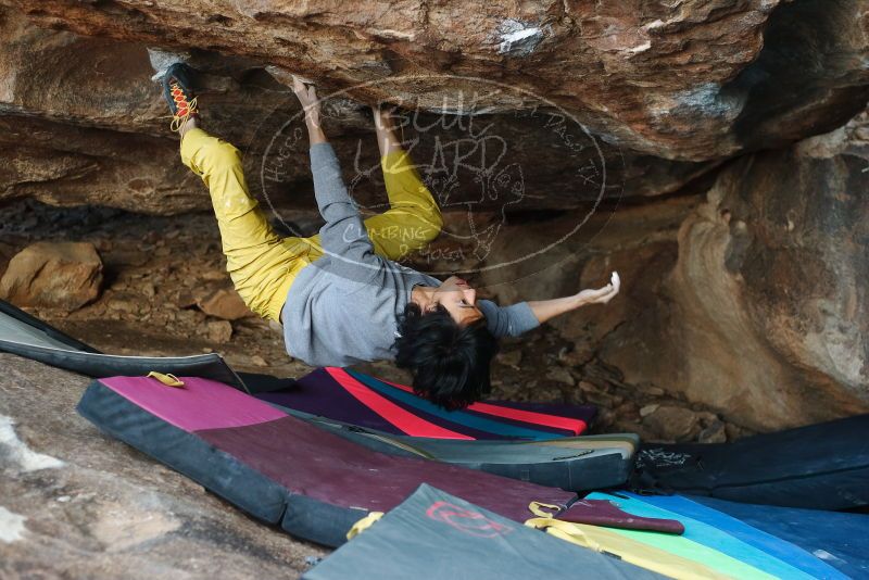 Bouldering in Hueco Tanks on 11/25/2019 with Blue Lizard Climbing and Yoga

Filename: SRM_20191125_1623250.jpg
Aperture: f/3.2
Shutter Speed: 1/320
Body: Canon EOS-1D Mark II
Lens: Canon EF 50mm f/1.8 II