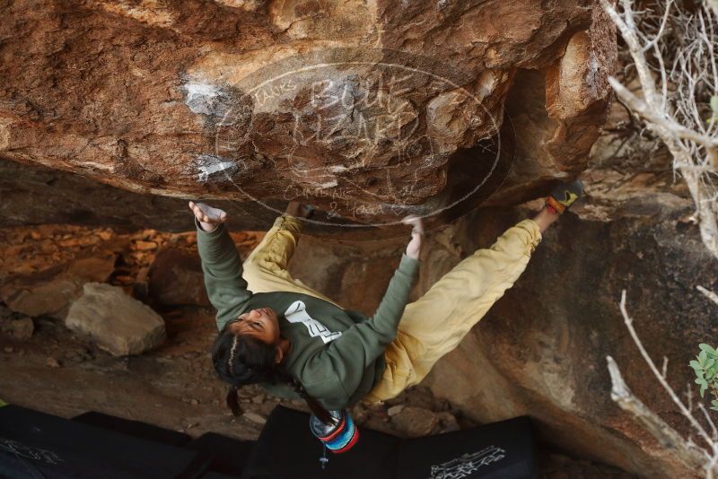 Bouldering in Hueco Tanks on 11/26/2019 with Blue Lizard Climbing and Yoga

Filename: SRM_20191126_1551200.jpg
Aperture: f/5.0
Shutter Speed: 1/250
Body: Canon EOS-1D Mark II
Lens: Canon EF 50mm f/1.8 II