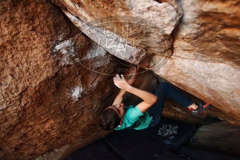 Bouldering in Hueco Tanks on 11/26/2019 with Blue Lizard Climbing and Yoga

Filename: SRM_20191126_1736420.jpg
Aperture: f/3.5
Shutter Speed: 1/250
Body: Canon EOS-1D Mark II
Lens: Canon EF 16-35mm f/2.8 L