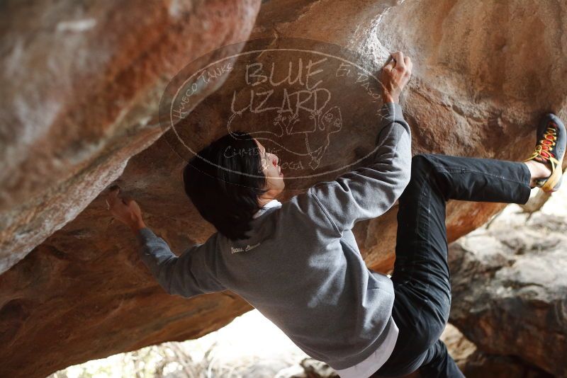 Bouldering in Hueco Tanks on 11/27/2019 with Blue Lizard Climbing and Yoga

Filename: SRM_20191127_1106580.jpg
Aperture: f/2.8
Shutter Speed: 1/320
Body: Canon EOS-1D Mark II
Lens: Canon EF 50mm f/1.8 II