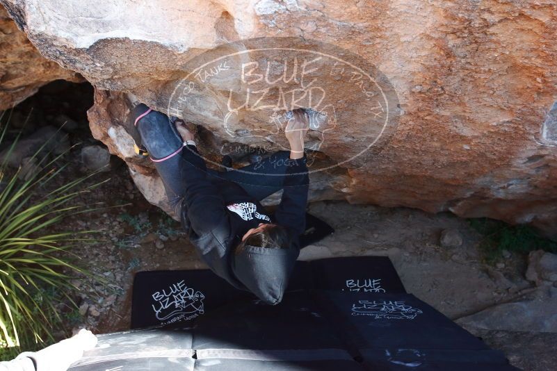 Bouldering in Hueco Tanks on 11/30/2019 with Blue Lizard Climbing and Yoga

Filename: SRM_20191130_1332260.jpg
Aperture: f/5.6
Shutter Speed: 1/250
Body: Canon EOS-1D Mark II
Lens: Canon EF 16-35mm f/2.8 L