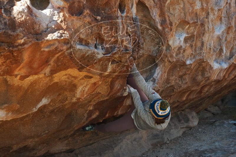 Bouldering in Hueco Tanks on 11/30/2019 with Blue Lizard Climbing and Yoga

Filename: SRM_20191130_1458220.jpg
Aperture: f/6.3
Shutter Speed: 1/250
Body: Canon EOS-1D Mark II
Lens: Canon EF 50mm f/1.8 II