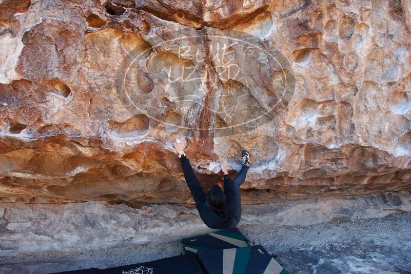 Bouldering in Hueco Tanks on 11/30/2019 with Blue Lizard Climbing and Yoga

Filename: SRM_20191130_1557561.jpg
Aperture: f/4.5
Shutter Speed: 1/250
Body: Canon EOS-1D Mark II
Lens: Canon EF 16-35mm f/2.8 L