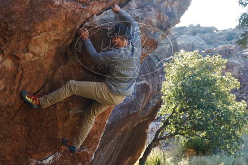 Bouldering in Hueco Tanks on 11/30/2019 with Blue Lizard Climbing and Yoga

Filename: SRM_20191130_1621080.jpg
Aperture: f/6.3
Shutter Speed: 1/250
Body: Canon EOS-1D Mark II
Lens: Canon EF 50mm f/1.8 II