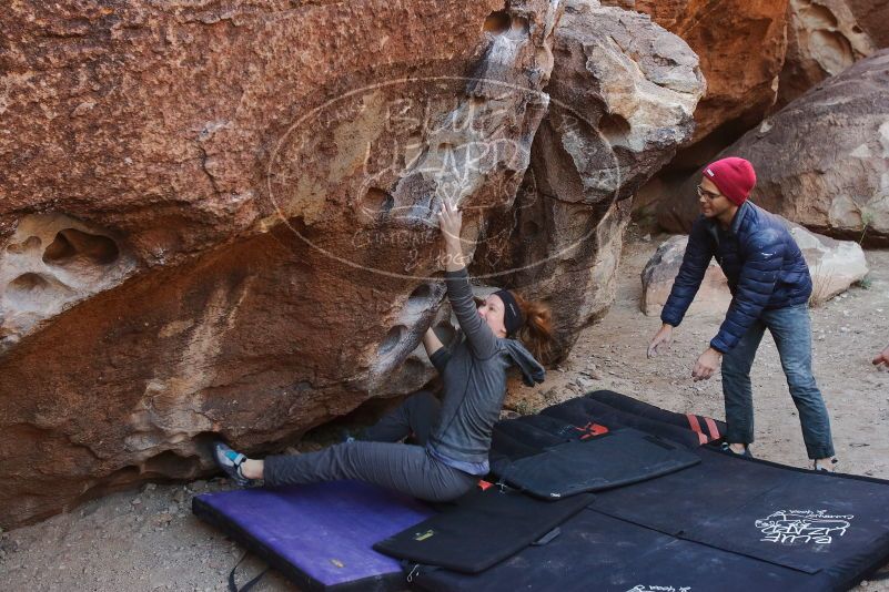 Bouldering in Hueco Tanks on 12/06/2019 with Blue Lizard Climbing and Yoga

Filename: SRM_20191206_1018580.jpg
Aperture: f/4.5
Shutter Speed: 1/250
Body: Canon EOS-1D Mark II
Lens: Canon EF 16-35mm f/2.8 L