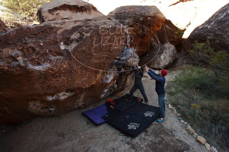 Bouldering in Hueco Tanks on 12/06/2019 with Blue Lizard Climbing and Yoga

Filename: SRM_20191206_1021230.jpg
Aperture: f/7.1
Shutter Speed: 1/250
Body: Canon EOS-1D Mark II
Lens: Canon EF 16-35mm f/2.8 L