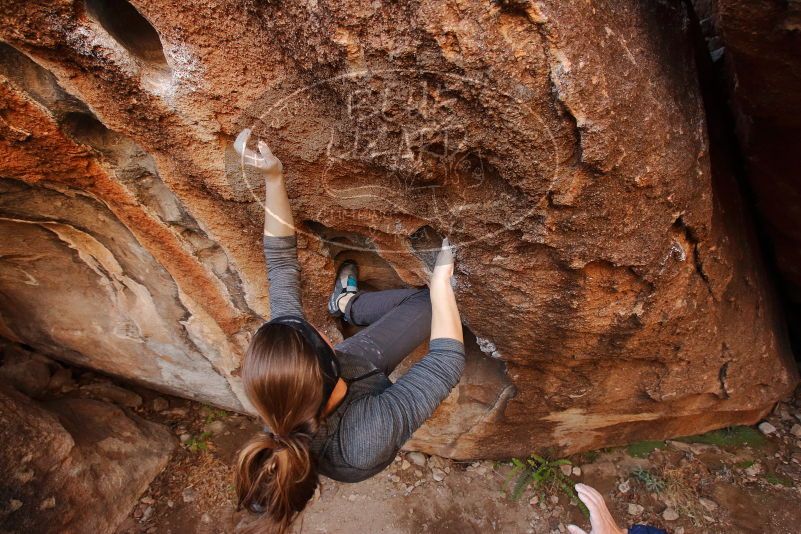 Bouldering in Hueco Tanks on 12/06/2019 with Blue Lizard Climbing and Yoga

Filename: SRM_20191206_1105070.jpg
Aperture: f/5.0
Shutter Speed: 1/250
Body: Canon EOS-1D Mark II
Lens: Canon EF 16-35mm f/2.8 L