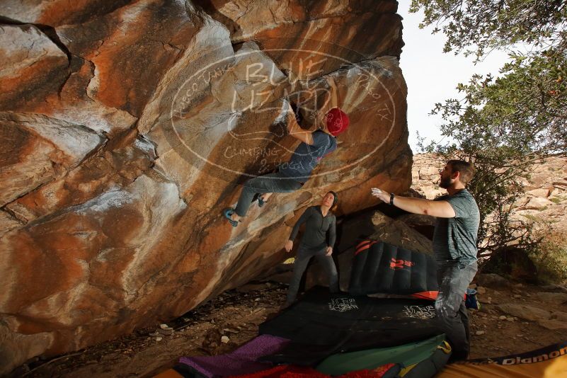 Bouldering in Hueco Tanks on 12/06/2019 with Blue Lizard Climbing and Yoga

Filename: SRM_20191206_1238010.jpg
Aperture: f/8.0
Shutter Speed: 1/250
Body: Canon EOS-1D Mark II
Lens: Canon EF 16-35mm f/2.8 L