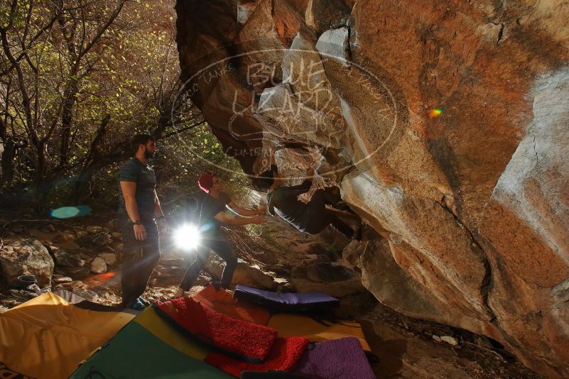 Bouldering in Hueco Tanks on 12/06/2019 with Blue Lizard Climbing and Yoga

Filename: SRM_20191206_1244480.jpg
Aperture: f/8.0
Shutter Speed: 1/250
Body: Canon EOS-1D Mark II
Lens: Canon EF 16-35mm f/2.8 L