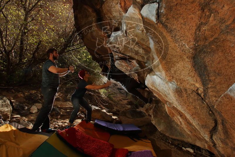 Bouldering in Hueco Tanks on 12/06/2019 with Blue Lizard Climbing and Yoga

Filename: SRM_20191206_1244590.jpg
Aperture: f/8.0
Shutter Speed: 1/250
Body: Canon EOS-1D Mark II
Lens: Canon EF 16-35mm f/2.8 L