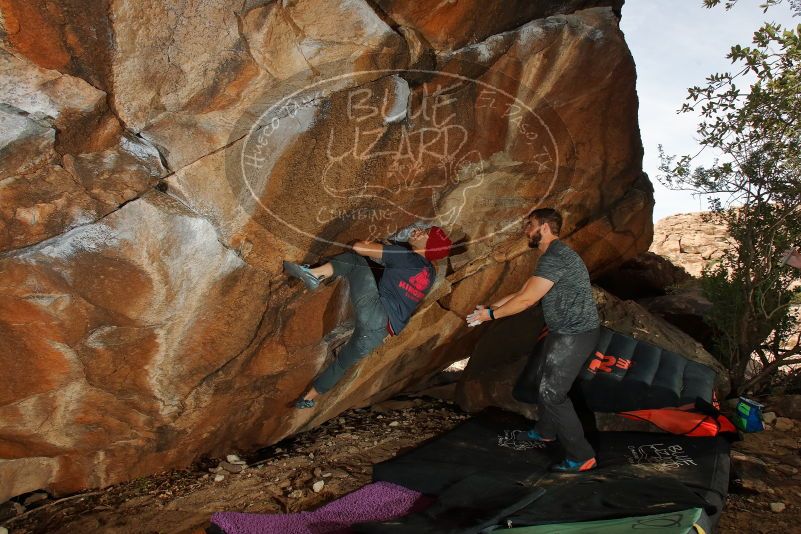 Bouldering in Hueco Tanks on 12/06/2019 with Blue Lizard Climbing and Yoga

Filename: SRM_20191206_1249180.jpg
Aperture: f/8.0
Shutter Speed: 1/250
Body: Canon EOS-1D Mark II
Lens: Canon EF 16-35mm f/2.8 L