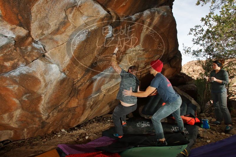 Bouldering in Hueco Tanks on 12/06/2019 with Blue Lizard Climbing and Yoga

Filename: SRM_20191206_1251050.jpg
Aperture: f/8.0
Shutter Speed: 1/250
Body: Canon EOS-1D Mark II
Lens: Canon EF 16-35mm f/2.8 L