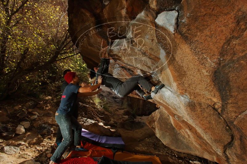 Bouldering in Hueco Tanks on 12/06/2019 with Blue Lizard Climbing and Yoga

Filename: SRM_20191206_1252550.jpg
Aperture: f/8.0
Shutter Speed: 1/250
Body: Canon EOS-1D Mark II
Lens: Canon EF 16-35mm f/2.8 L