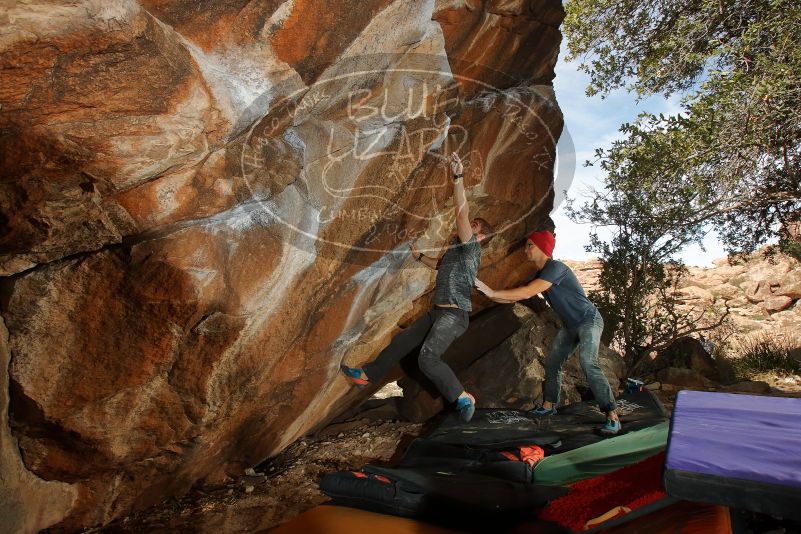 Bouldering in Hueco Tanks on 12/06/2019 with Blue Lizard Climbing and Yoga

Filename: SRM_20191206_1308240.jpg
Aperture: f/8.0
Shutter Speed: 1/250
Body: Canon EOS-1D Mark II
Lens: Canon EF 16-35mm f/2.8 L