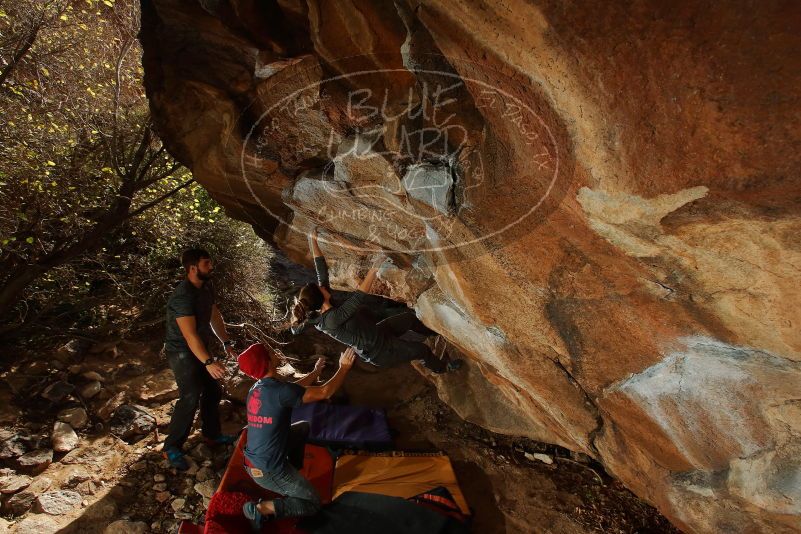 Bouldering in Hueco Tanks on 12/06/2019 with Blue Lizard Climbing and Yoga

Filename: SRM_20191206_1310570.jpg
Aperture: f/8.0
Shutter Speed: 1/250
Body: Canon EOS-1D Mark II
Lens: Canon EF 16-35mm f/2.8 L