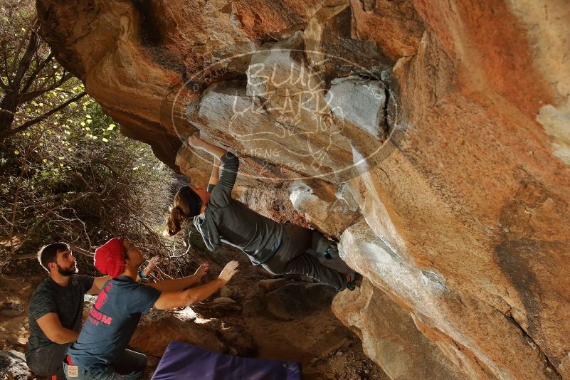 Bouldering in Hueco Tanks on 12/06/2019 with Blue Lizard Climbing and Yoga

Filename: SRM_20191206_1311040.jpg
Aperture: f/6.3
Shutter Speed: 1/250
Body: Canon EOS-1D Mark II
Lens: Canon EF 16-35mm f/2.8 L