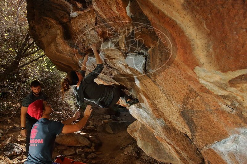 Bouldering in Hueco Tanks on 12/06/2019 with Blue Lizard Climbing and Yoga

Filename: SRM_20191206_1311210.jpg
Aperture: f/6.3
Shutter Speed: 1/250
Body: Canon EOS-1D Mark II
Lens: Canon EF 16-35mm f/2.8 L