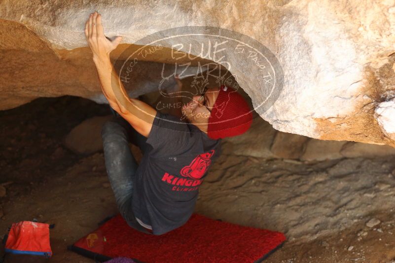 Bouldering in Hueco Tanks on 12/06/2019 with Blue Lizard Climbing and Yoga

Filename: SRM_20191206_1323310.jpg
Aperture: f/2.8
Shutter Speed: 1/250
Body: Canon EOS-1D Mark II
Lens: Canon EF 50mm f/1.8 II