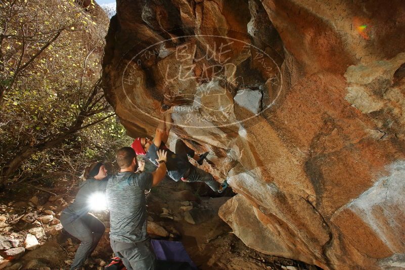 Bouldering in Hueco Tanks on 12/06/2019 with Blue Lizard Climbing and Yoga

Filename: SRM_20191206_1348130.jpg
Aperture: f/7.1
Shutter Speed: 1/250
Body: Canon EOS-1D Mark II
Lens: Canon EF 16-35mm f/2.8 L